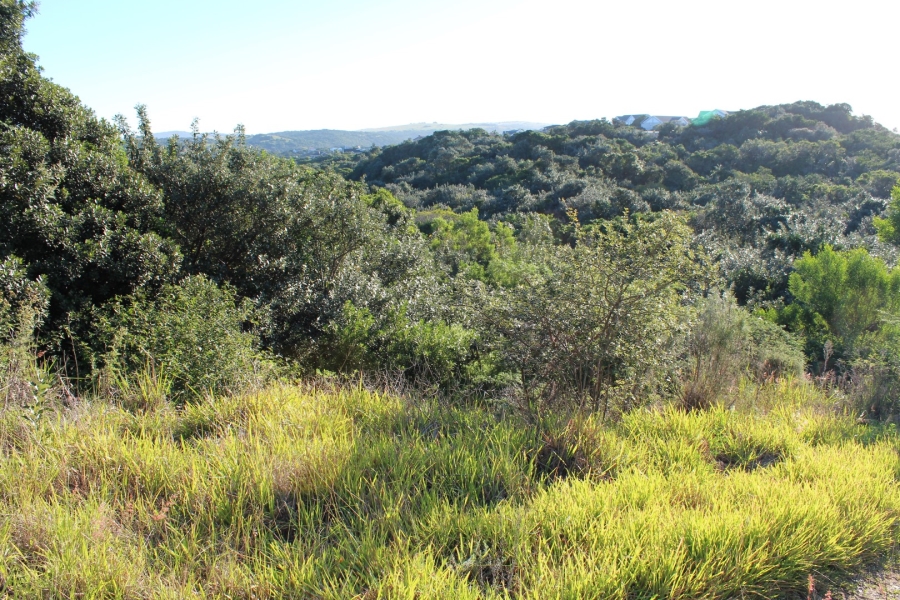 0 Bedroom Property for Sale in Kleinemonde Eastern Cape